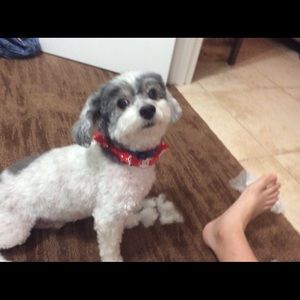 Meet your Posher, Suzanne